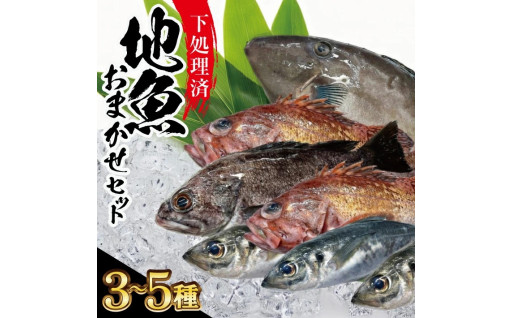 【下処理済】地魚おまかせセット 計1kg以上(3～5種類入)
