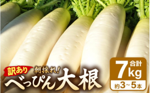 【訳あり】甘くてみずみずしい✨生でも煮ても美味😋
