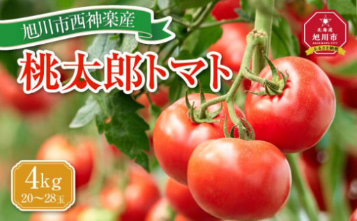 【先行予約】旭川市西神楽産 桃太郎トマト4kg