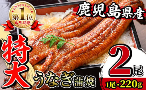 ＼特大サイズ／鹿児島県産 うなぎ蒲焼 2尾（約220g×2・計約440g）