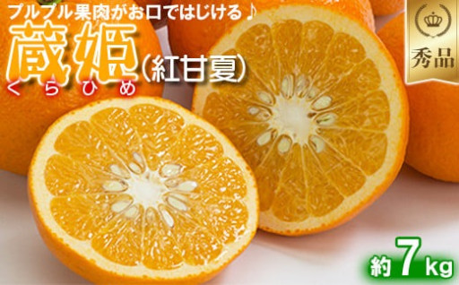 【締切間近】蔵姫くらひめ（紅甘夏）約7㎏【秀品】
