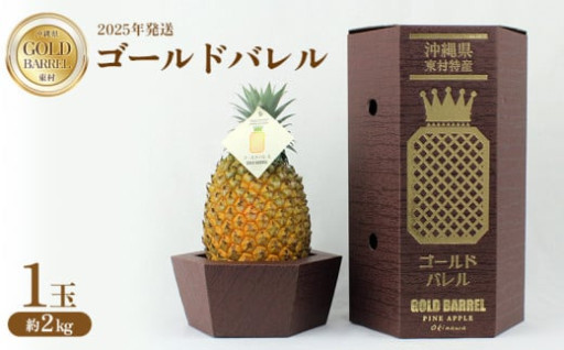2025年発送　東村産ゴールドバレルパイン　1玉