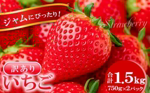 🍓ジャムにぴったり🍓訳ありいちご（750g×2パック）