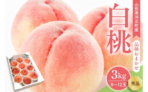 【令和7年産】白桃 品種おまかせ 3kg (8～12玉前後) ギフト箱入 秀品 山形県産 【緑茶園】