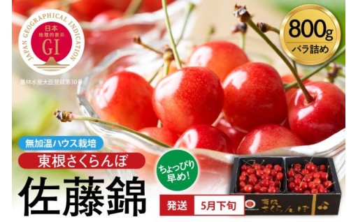 【🍒山形県東根市🍒】まもなく受付終了！！4月30日まで受付中！無加温ハウス栽培 「東根さくらんぼ」