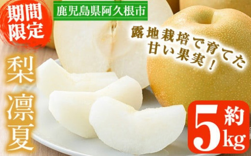 鹿児島県産梨＜品種：凛夏＞(約5kg・10～15個)