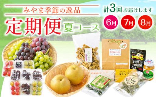 季節の逸品 夏 特産品 定期 フルーツ 詰め合わせ