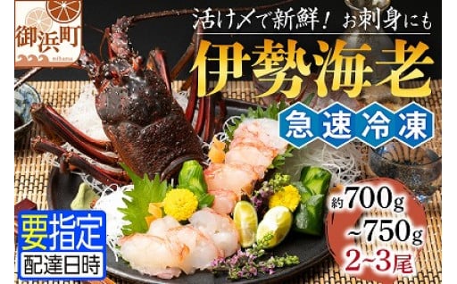 【活〆急速冷凍❄️】伊勢海老🦐🦐🦐