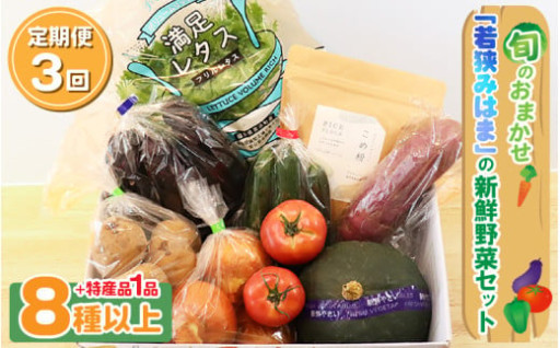 【プロが厳選✨】新鮮な旬の野菜🥬市場からお届け💨