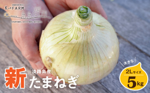 【新たまねぎ】淡路島たまねぎ 大きな2Lサイズ 5kg【発送時期：2025年3月中旬～6月上旬頃】