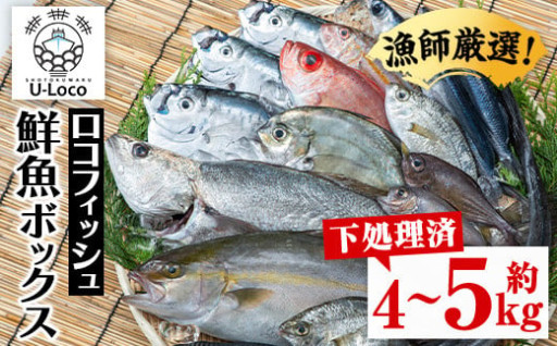 漁師厳選！ロコフィッシュ(地魚) 下処理済 鮮魚 ボックス(約4～5kg)