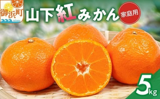 【まぼろし⁉️】山下紅みかん🍊👀✨