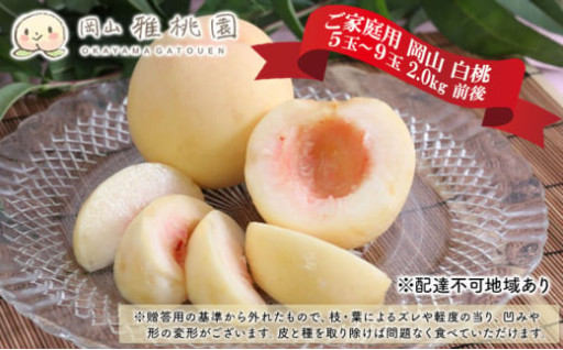 桃 2025年 先行予約 ご家庭用 岡山 白桃 5玉～9玉 2.0kg 前後