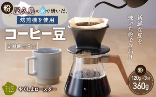 【定期便 全3回】【粉】屋久島の水で磨き、機械を使わずに焙煎するコーヒー豆