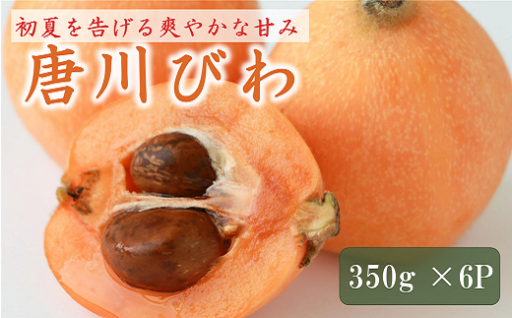 【先行予約】初夏🎐の訪れを告げる果実～唐川びわ 350g×6パック～