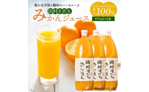 果汁100％ 田村そだち みかんジュース 970ml×3本