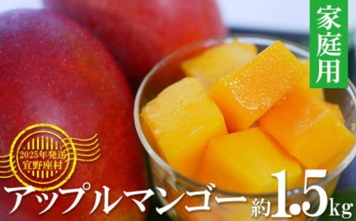 2025年発送　家庭用アップルマンゴー1.5kg