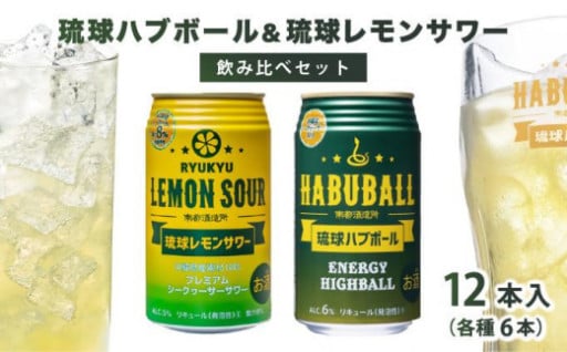 沖縄の風味とエナジーが融合！心も体も元気になるプレミアムセット！