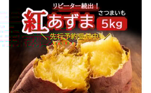 リピーター続出！杉山農園のさつまいも「紅あずま」5kg