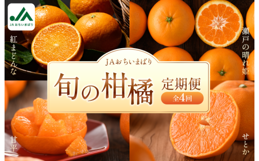 柑橘定期便の先行予約受付中！