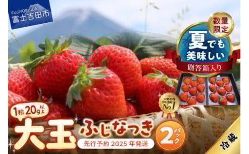 【期間限定】【数量限定！夏いちご】夏に食べられる至高のいちご ふじなつき(大玉セット) 