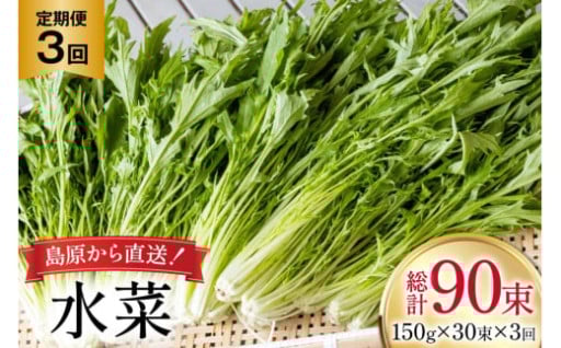 島原から直送！農家手作り堆肥で育てた美味しい水菜