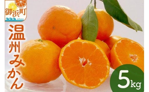 【こだわり有‼️】🌿北東農園の温州みかん５キロ🍊🍊