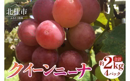 【2025年先行予約】クイーンニーナ　約500g×4パック