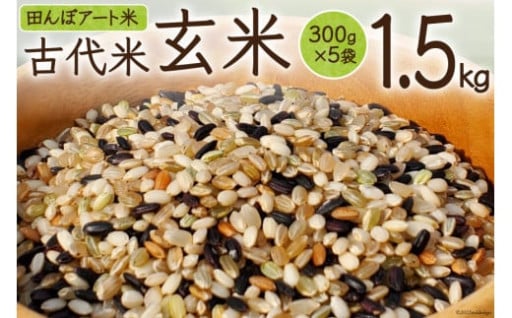 【期間限定発送】 米 田んぼアート 玄米 300g×5袋