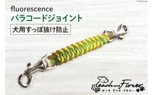 愛犬を予期せぬ事故から守る！