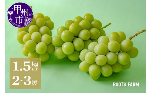 ～信頼と実績・高品質なROOTSFARMのシャインマスカット～