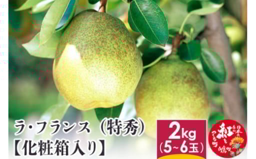 ラ・フランス （特秀) 2kg【化粧箱入り】