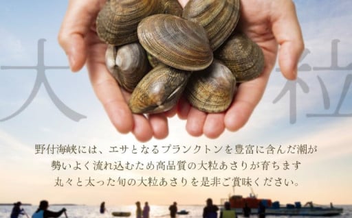 ＼海産物の宝庫／産地直送！濃厚な旨み溢れる大粒活あさり！