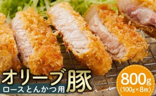 豚肉 オリーブ豚 ロースとんかつ用 800g（100g×8枚）【化粧箱入り】【配送不可：離島】