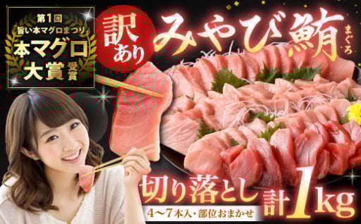 ＼本マグロ大賞受賞／みやび鮪 規格外切り落とし