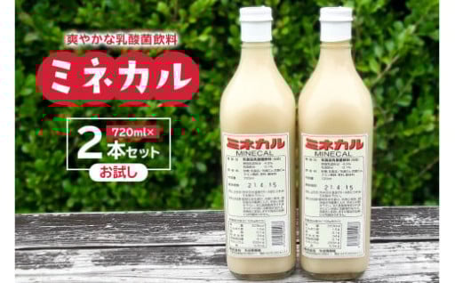 乳酸菌飲料ミネカル×2本セット