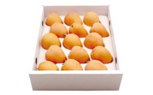 ＼果肉が柔らかくジューシー／美味しい枇杷をお届け！