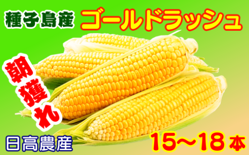 種子島 産 朝どれ とうもろこし (15～18本)