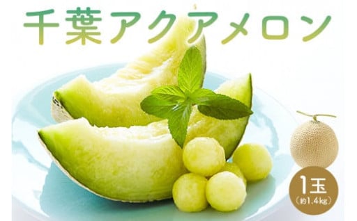 千葉アクアメロン(マスクメロン)1玉 