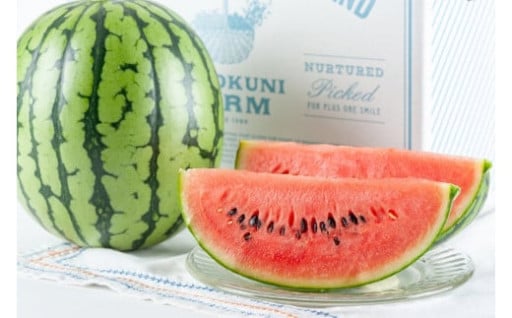 期間限定紅小玉スイカ🍉