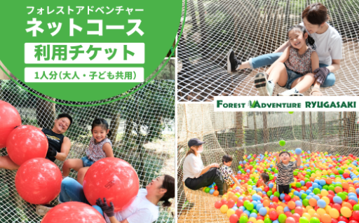 ハーネス不要で樹上体験ができる！