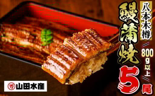 【数量限定】国産 八本木樽鰻の蒲焼(160g以上×5尾) 