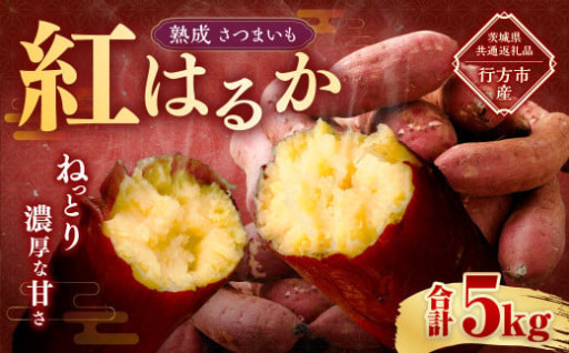 “熟成” 茨城県産 さつまいも 【 紅はるか 】 約5kg