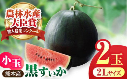 【先行予約】【数量限定】黒小玉スイカ 2玉 2Lサイズ 【株式会社 前田ファーム】
