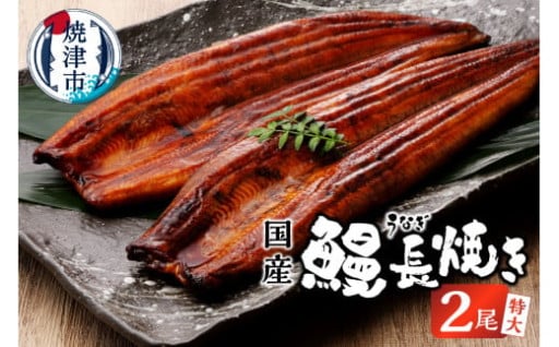 鰻 長焼き 2尾 セット