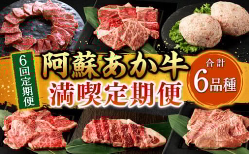 【年6回定期便】阿蘇あか牛満喫 定期便
