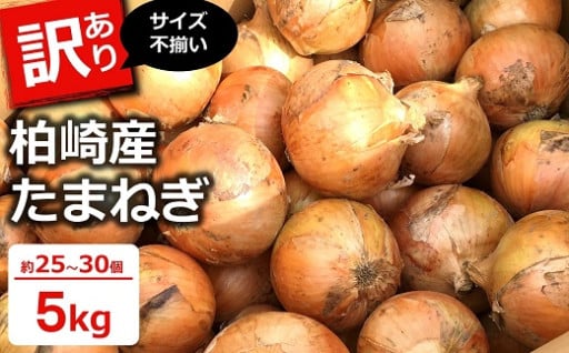 【6月中旬～発送】玉ねぎ  サイズ不揃い 5kg