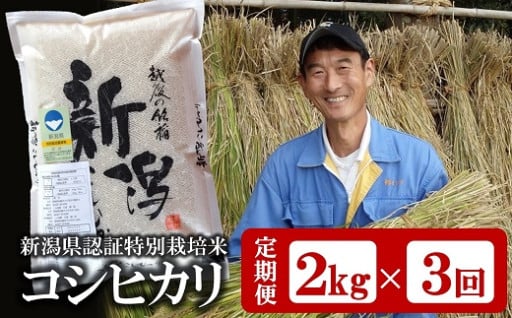 【予約】R7年産コシヒカリ白米2kg×3回定期便