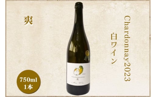 🍾Chardonnay2023 爽🍾 750ml×1本