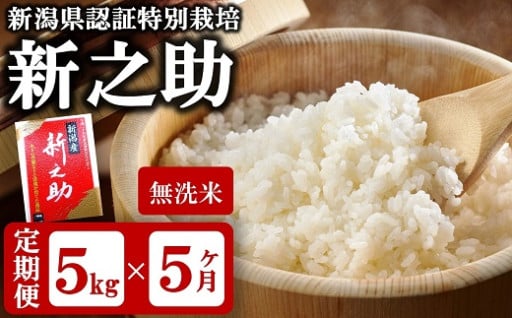 【予約】R7年産 新之助無洗米5kg×5回定期便